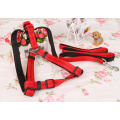 China retractable chain dog harness soft / Pet collars and leashes